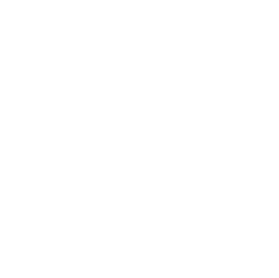 Guia Louis Vuitton